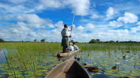 Viaggi in Botswana