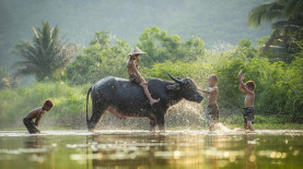 Viaggi in Laos 