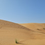 oman