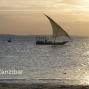 Renata Fregola CartOrange- Zanzibar
