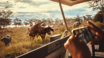 Kenya jeep e telefono