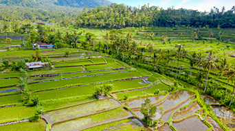 viaggio a bali