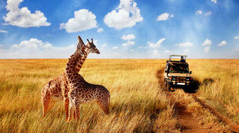 Safari in Tanzania