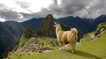 peru macchupicchu