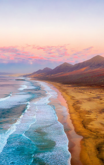 Canarie