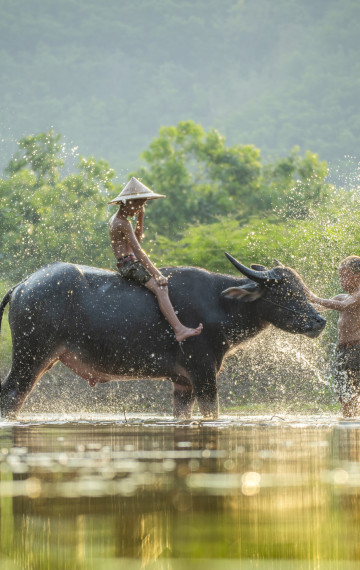 Laos