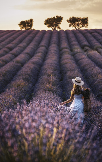 Francia