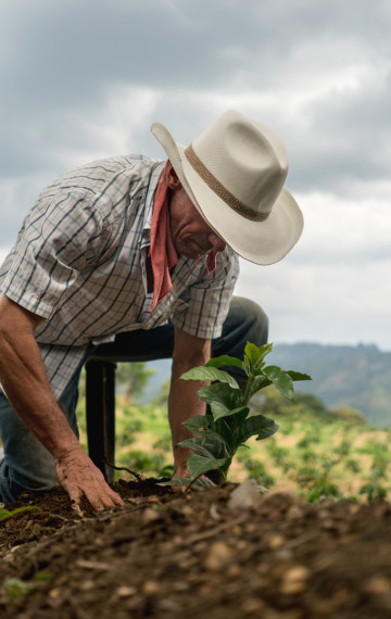 Viaggi in Colombia