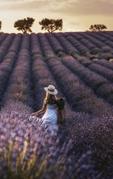 Viaggi in Francia