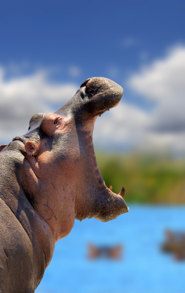 Viaggi di nozze Botswana