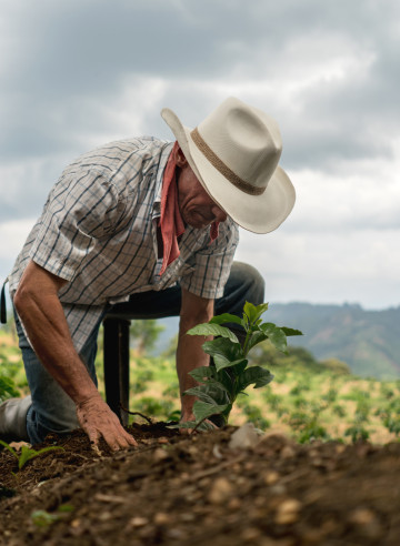 Viaggi in Colombia