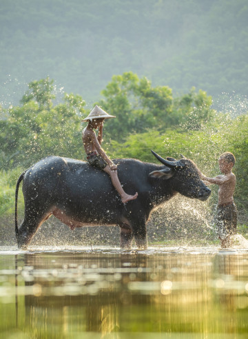 Viaggi in Laos 