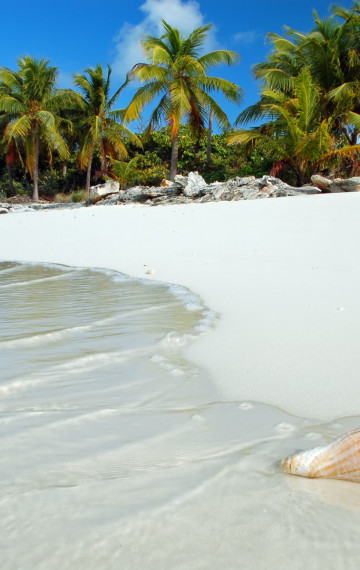 spiaggia in giamaica