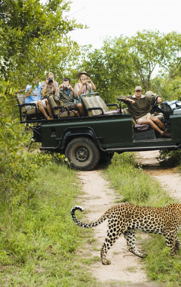 Safari con leopardo