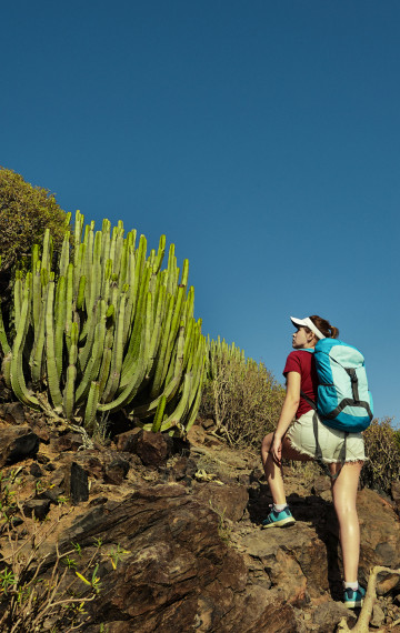 Canarie