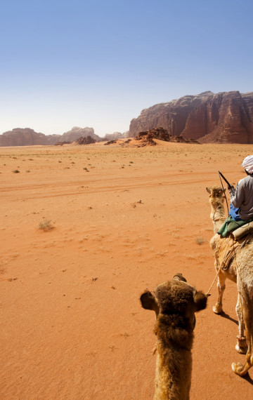 cammelliere nel deserto