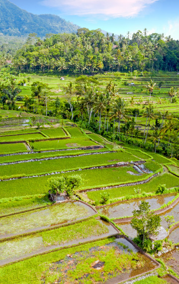 viaggio a bali