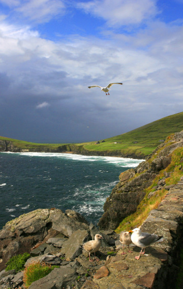 irlanda strada costiera