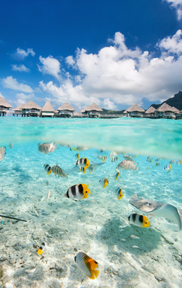 polinesia francese pace nell'oceano