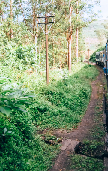 sri lanka treno