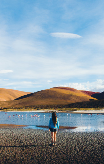 vista di Atacama 