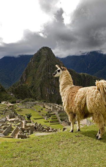 peru macchupicchu