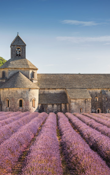 viaggio in francia