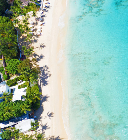 Vinci Barbados