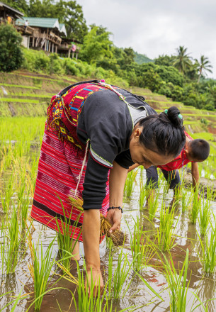 Banaue