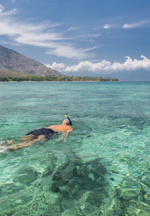 Komodo e Flores