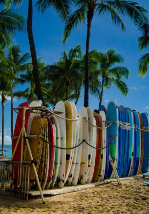 Hawaii surf