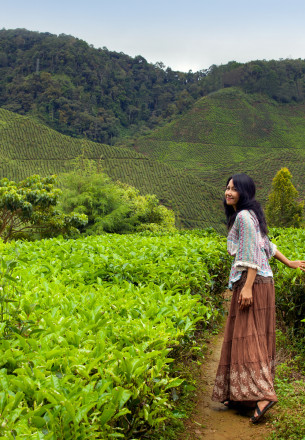 malesia ragazza tra le foglie di te