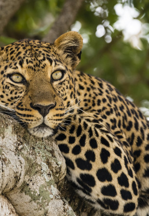 Matobo National Park