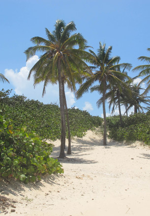 Playa Santa Maria