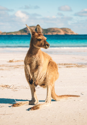 Australia
