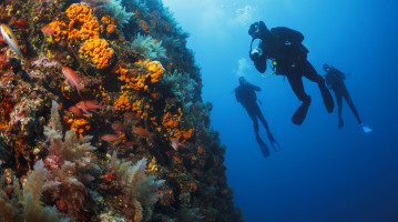 Immersioni alle Maldive