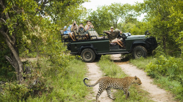 Safari con leopardo
