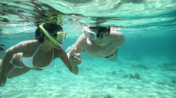 caraibi snorkeling