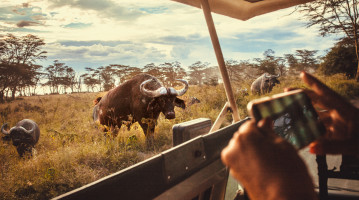 Kenya jeep e telefono