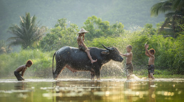 Laos