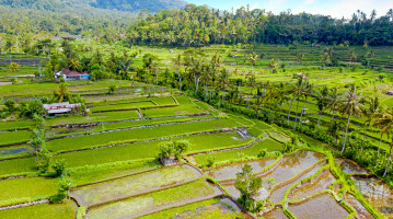 viaggio a bali