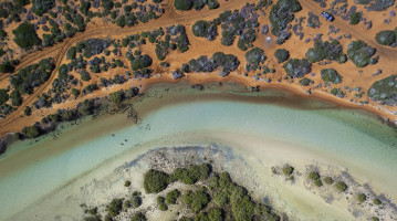 Natura australiana