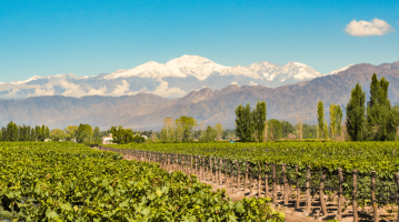 mendoza