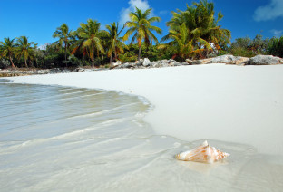 spiaggia in giamaica