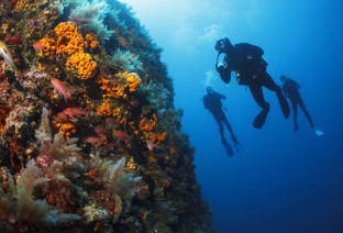 Immersioni alle Maldive