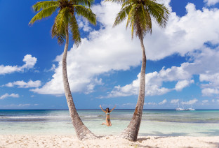 Santo Domingo beach and palm
