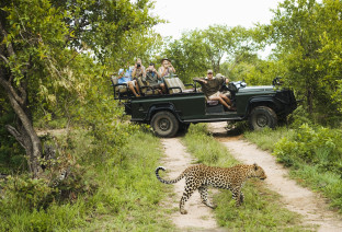 Safari con leopardo