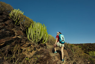 Canarie
