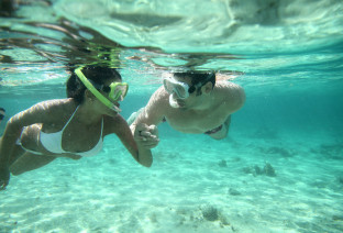 caraibi snorkeling