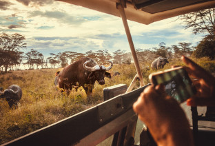 Kenya jeep e telefono